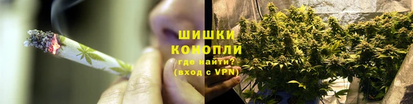 дурь Бронницы