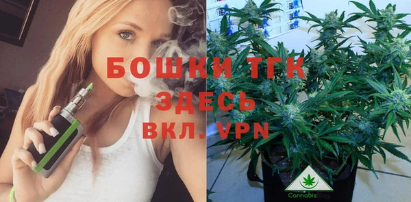 тгк Бородино