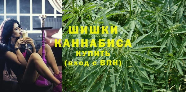 прущая мука Богданович