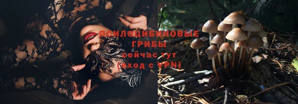 тгк Бородино