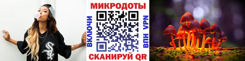 как найти   Отрадная  Галлюциногенные грибы Psilocybine cubensis 